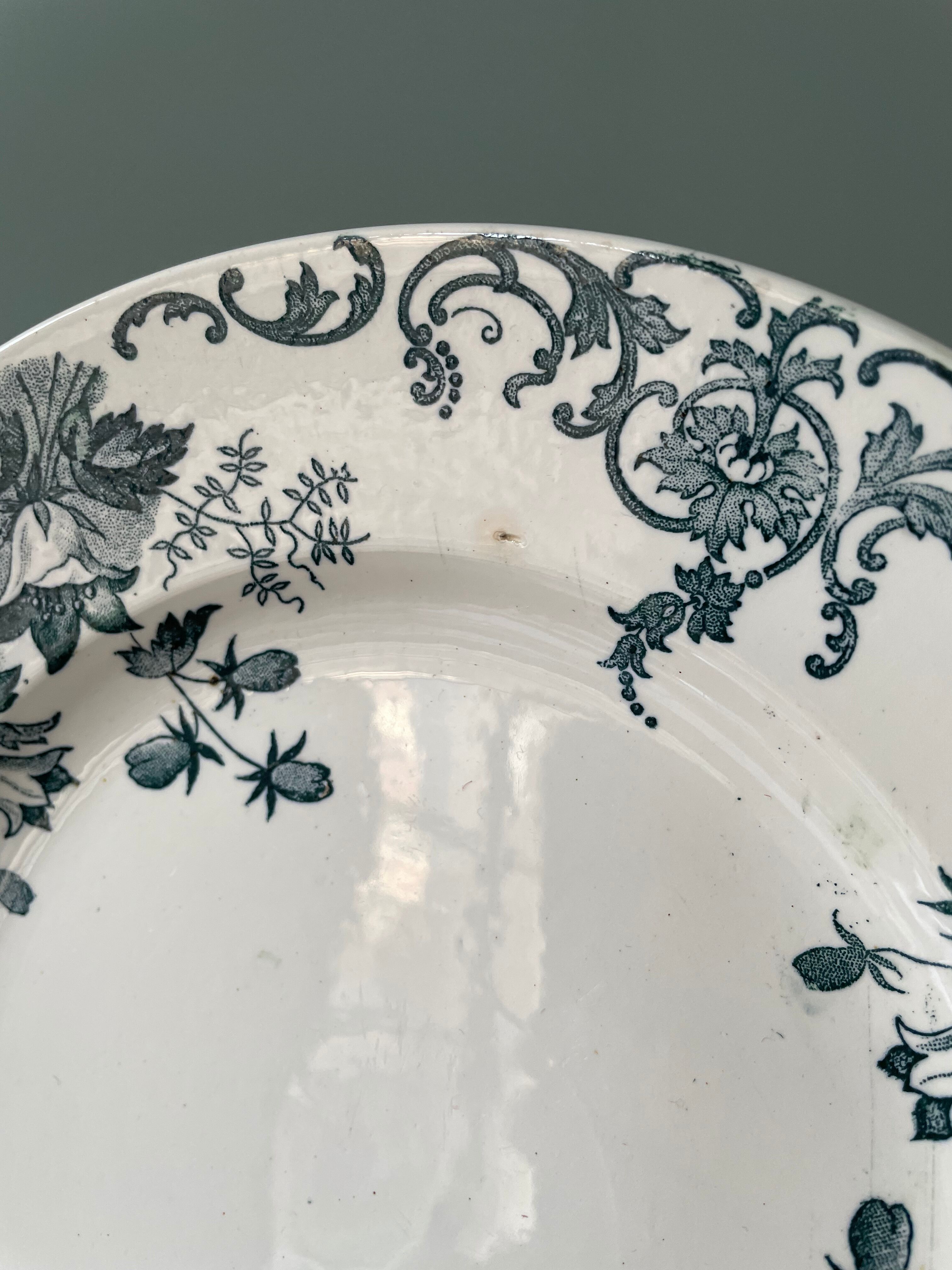 Lot de 9 assiettes plates Terre de Fer modèle « Campanule » St Amand et Hamage