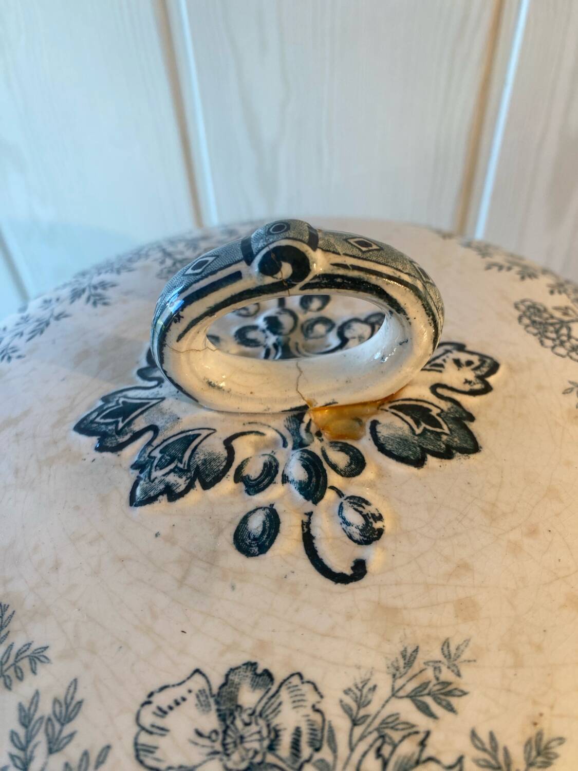 Iron earth soup tureen, Toulouse savings