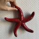ceramic starfish