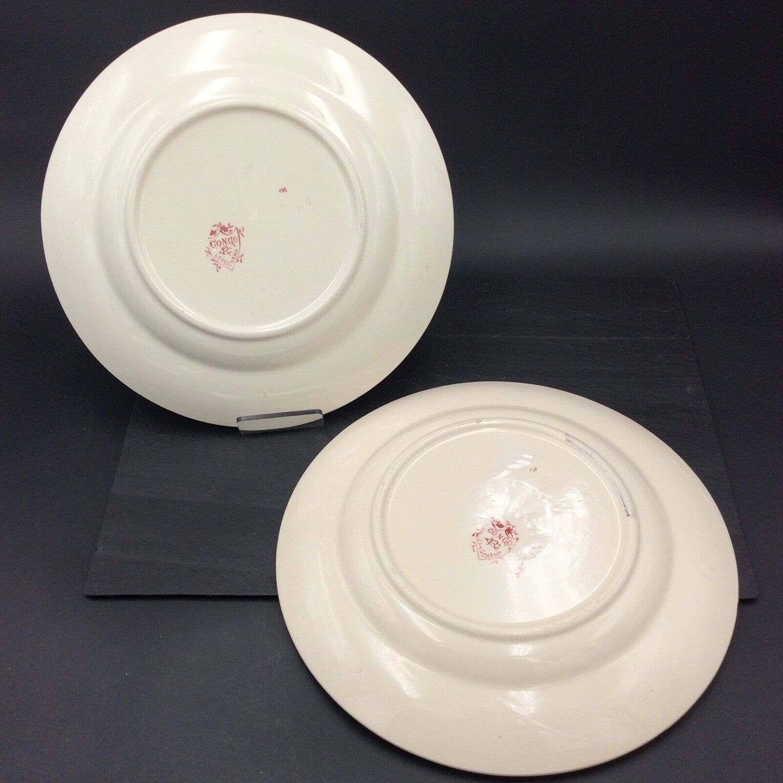 2 ancient plates longchamp congo parrot antique french plate parrot