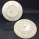 2 ancient plates longchamp congo parrot antique french plate parrot