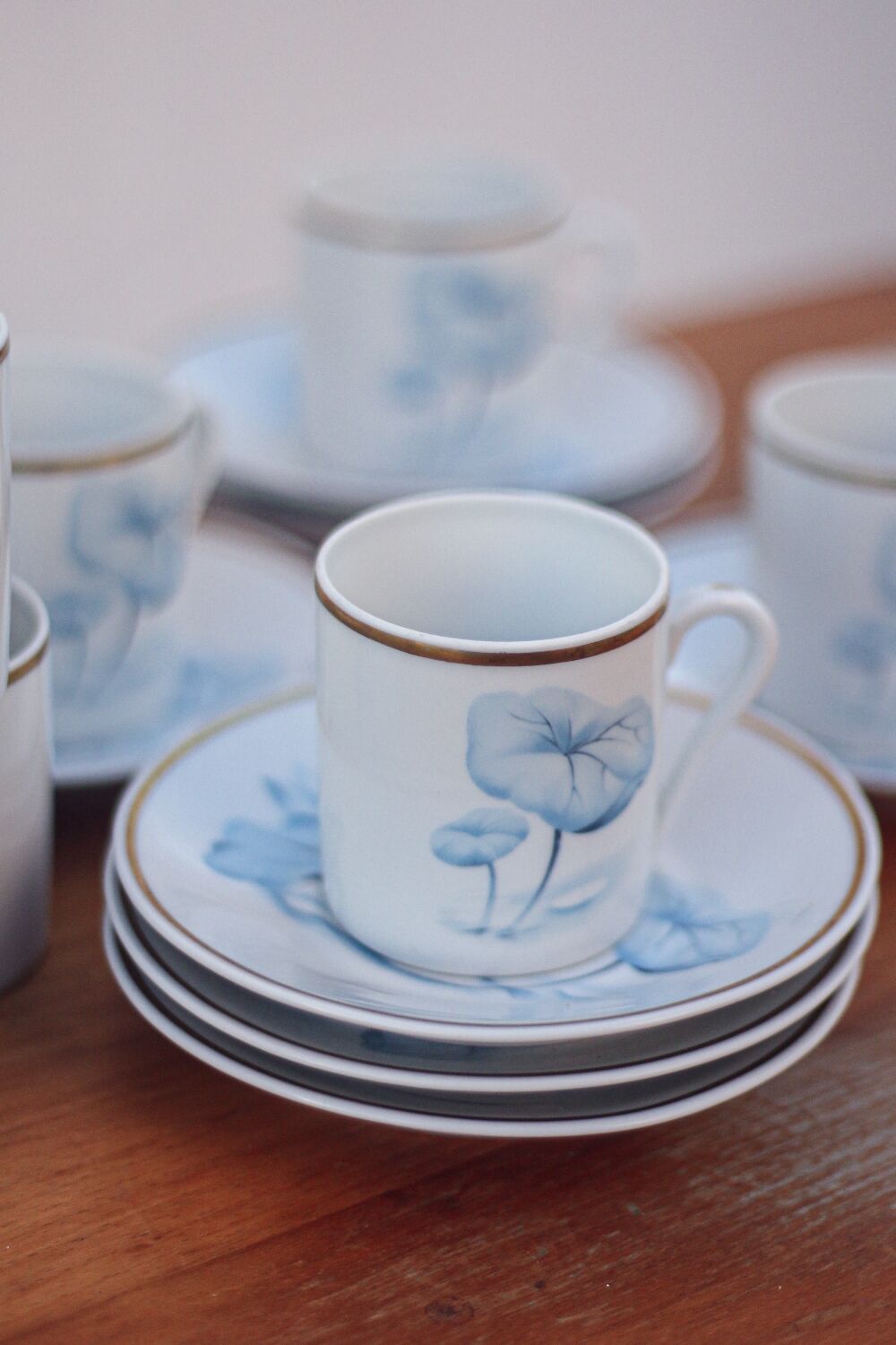 Set of 8 cups and saucers Deshoulieres Limoges