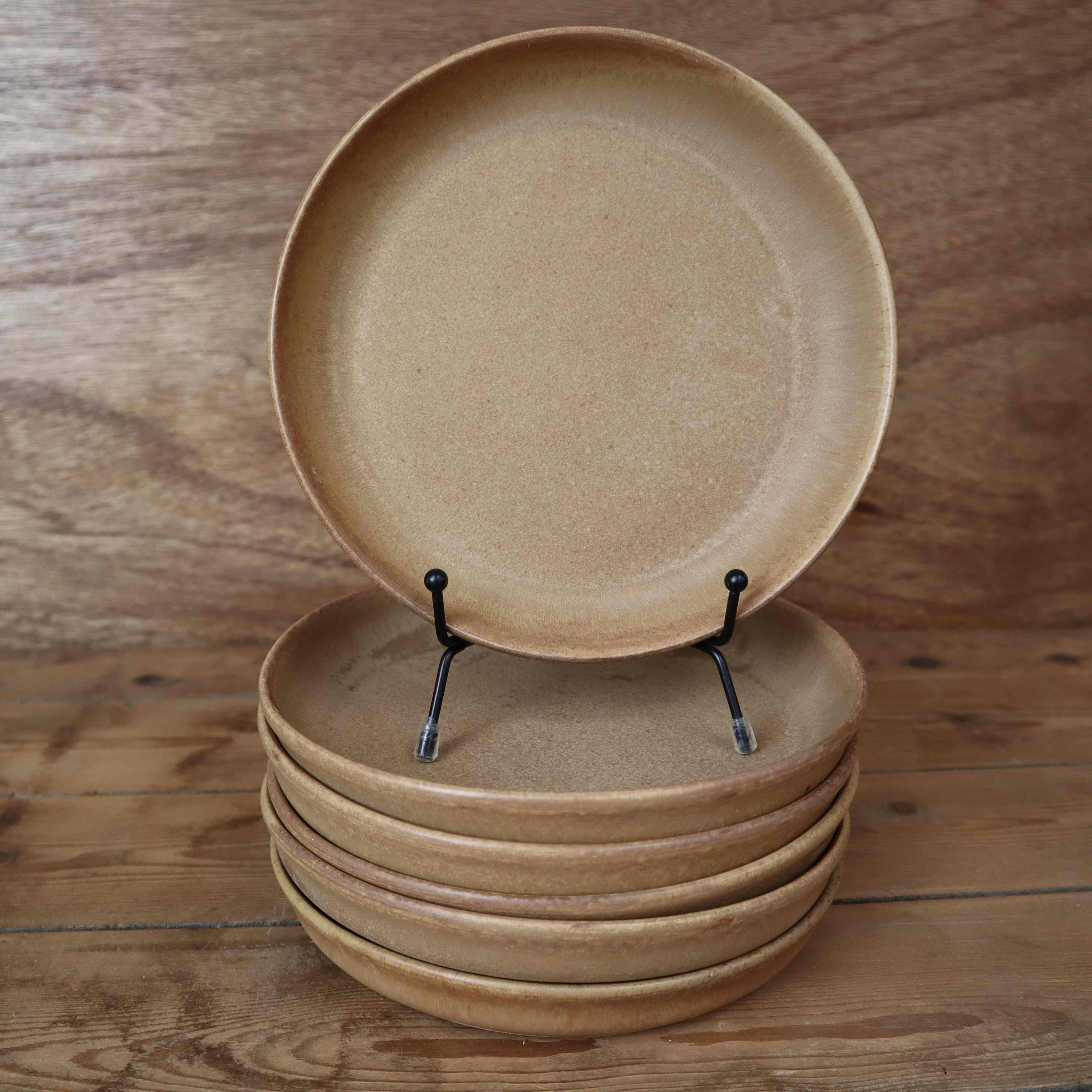 6 stoneware rimmed dinner plates