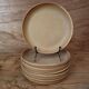 6 stoneware rimmed dinner plates