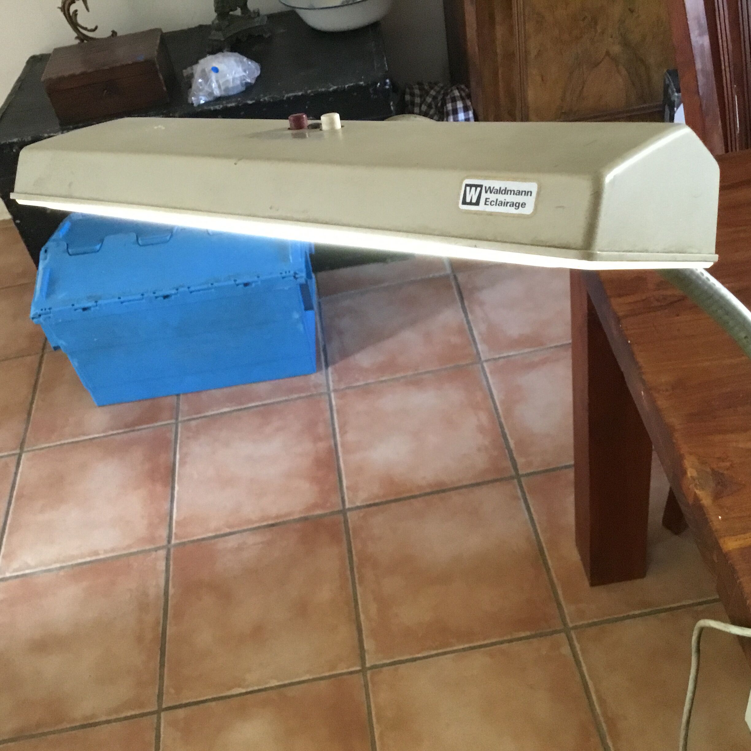 Workshop lamp Waldmann Eclairage