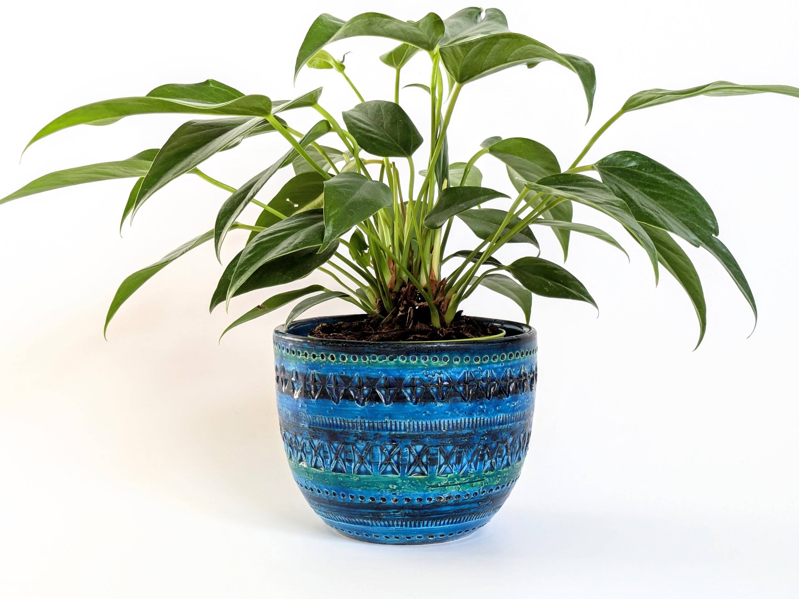 Bitossi Planter | Italian Ceramics by Aldo Londi | 1960s