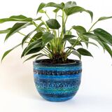 Bitossi Planter | Italian Ceramics by Aldo Londi | 1960s