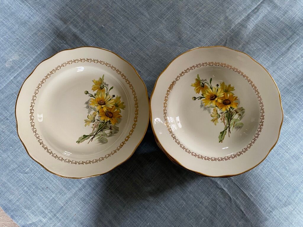 Lot of plates flat and hollow 10-10. "Margurites" by Gien. 1960s-70s.