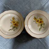 Lot of plates flat and hollow 10-10. "Margurites" by Gien. 1960s-70s.