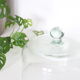 Glass bell from the 50s, vintage