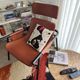 Fauteuil Eddy up