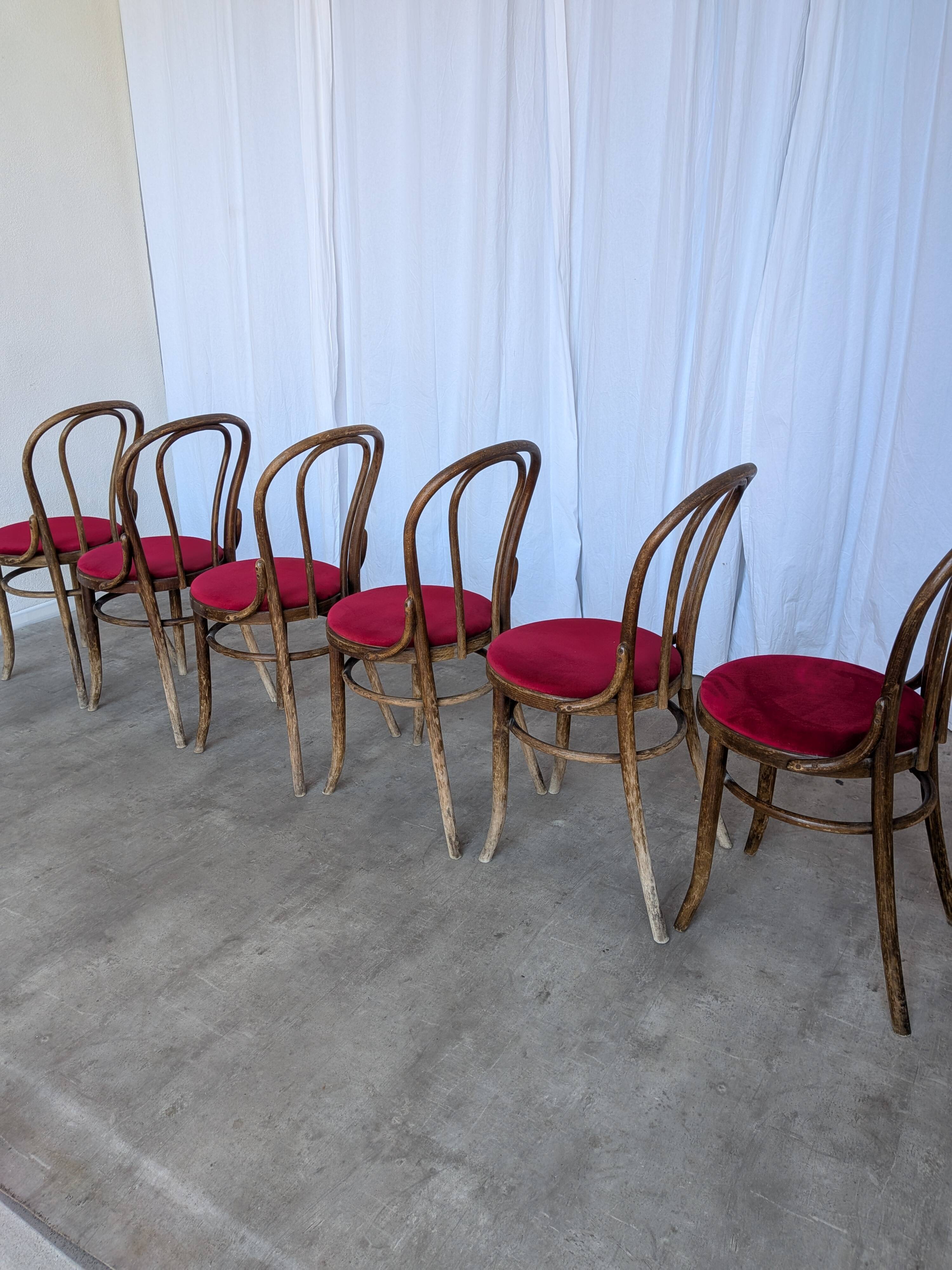 Set of 6 Vintage Bentwood Dining Chairs Set: 1970s , Red Uphols