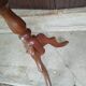 Round wood harness