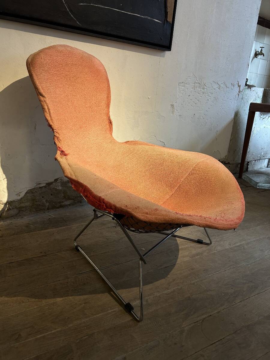 Fauteuil Bird par Harry Bertoia pour Knoll, 1970