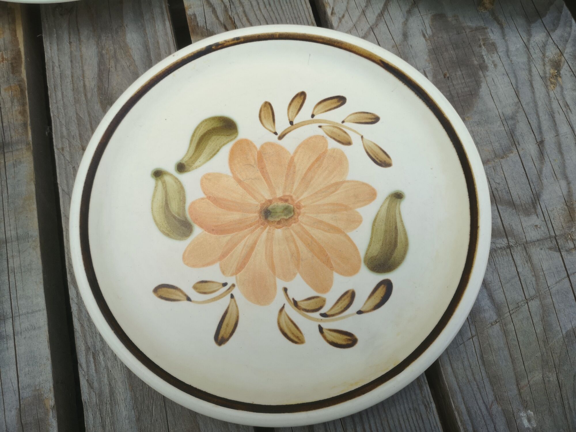 Lot of 4 mismatched plates herbarium vegetable decoration