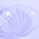 Shell-shaped dish / antique butter dish