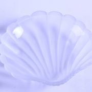 Vide-poche / beurrier coquillage ancien