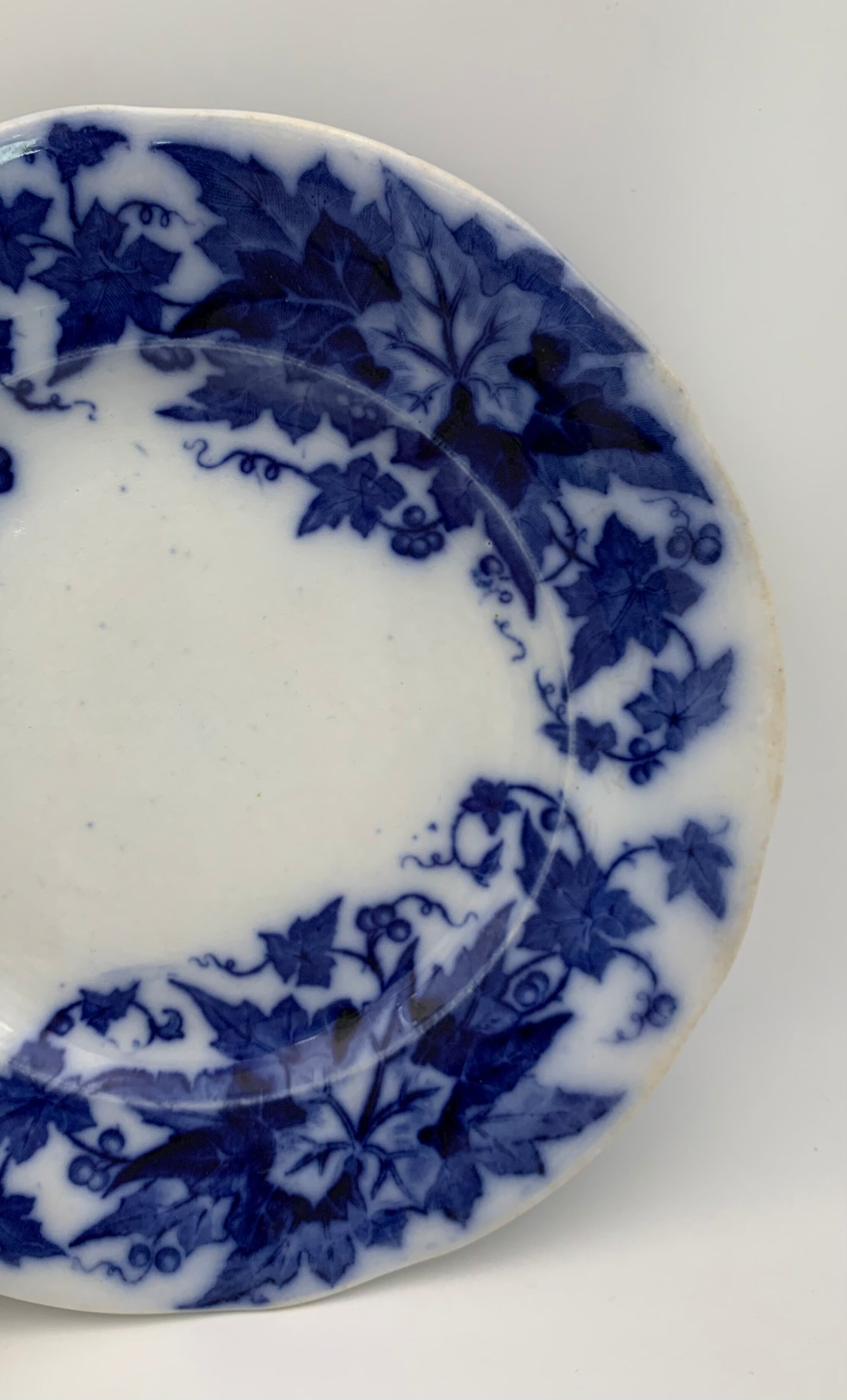 Old earthenware plate SARREGUEMINES, Bryonia model - Late 19th century