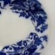 Old earthenware plate SARREGUEMINES, Bryonia model - Late 19th century