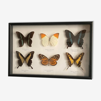 Butterfly frame