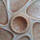 Large oyster plate Salins-les-Bains France vintage 41 cm