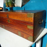 Old marine trunk in camphor tree