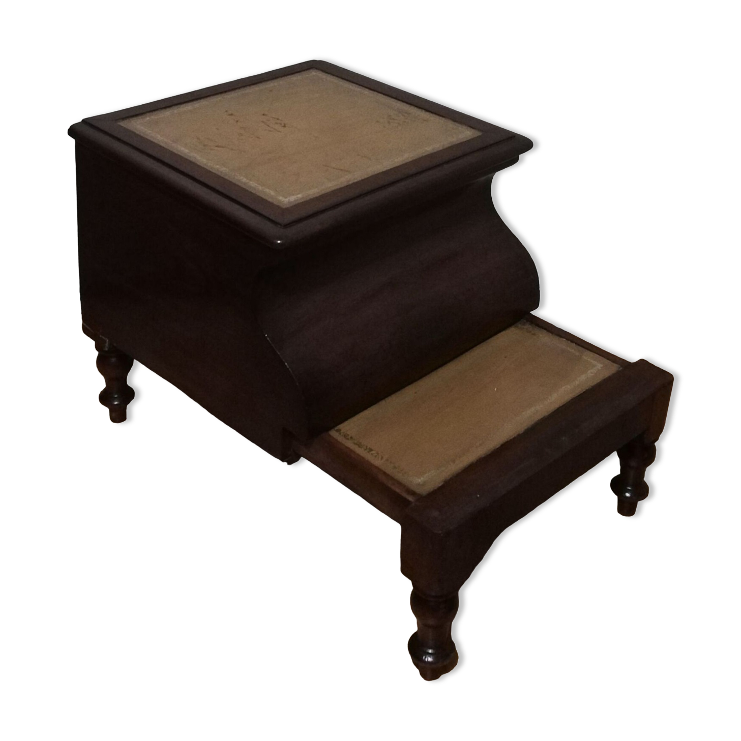 Old mahogany bookcase