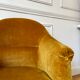 Toad armchair in gold velvet