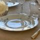 8 Haviland Limoges dinner plates.