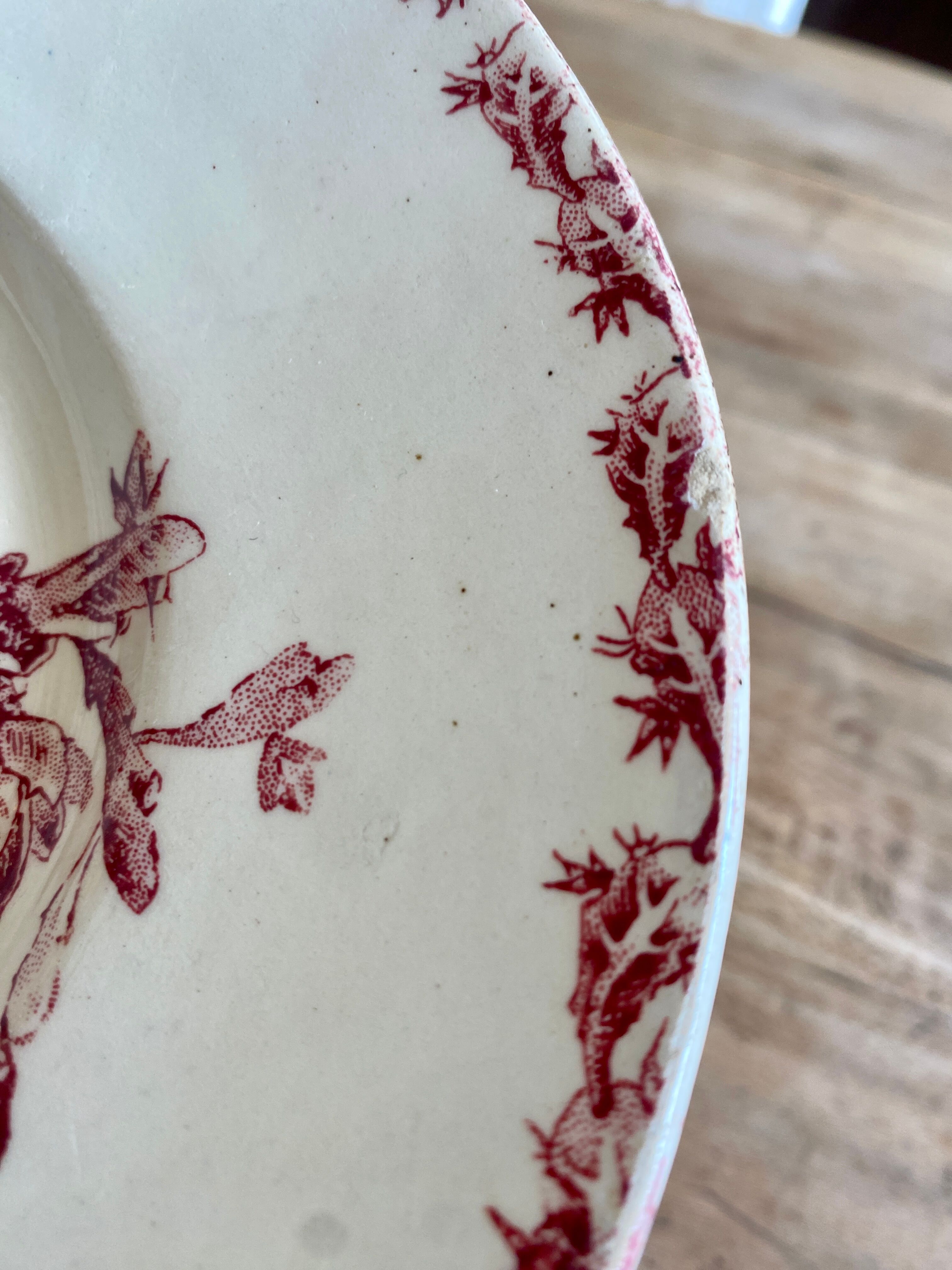 Old oval dish in iron earth