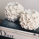 Candlestick in bali shells vintage bohemian size M