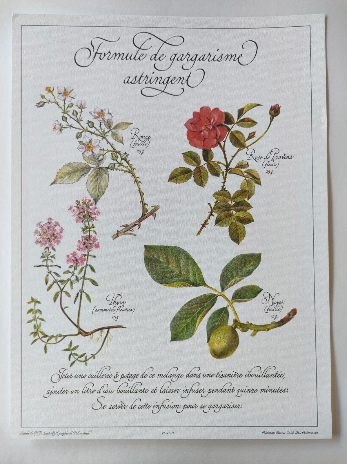 Botanical engraving -Astringent gargle formula- Illustration of medicinal plants and herbs