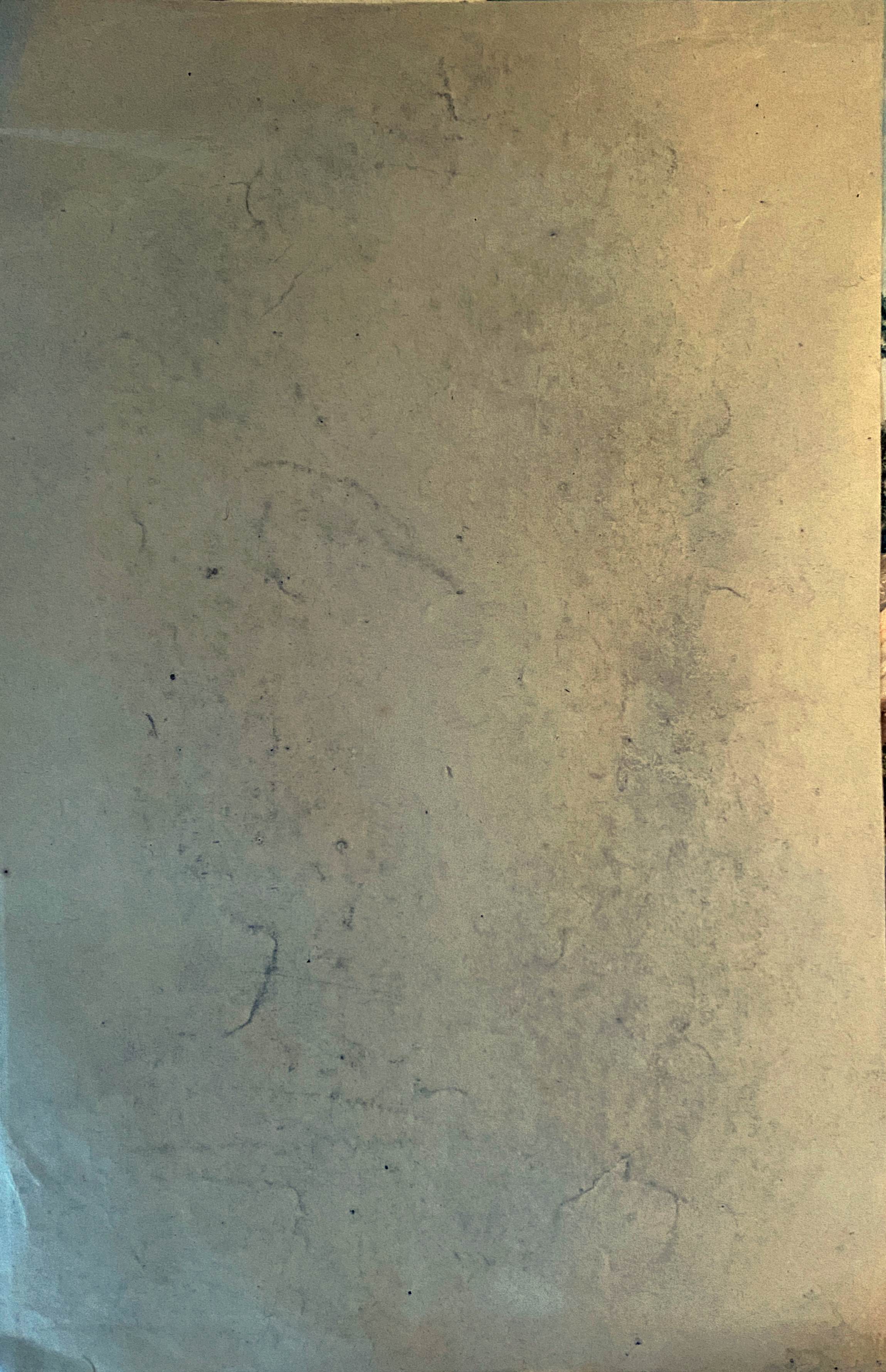 Painting "Nude of a woman" enhanced academic drawing dating from 1911