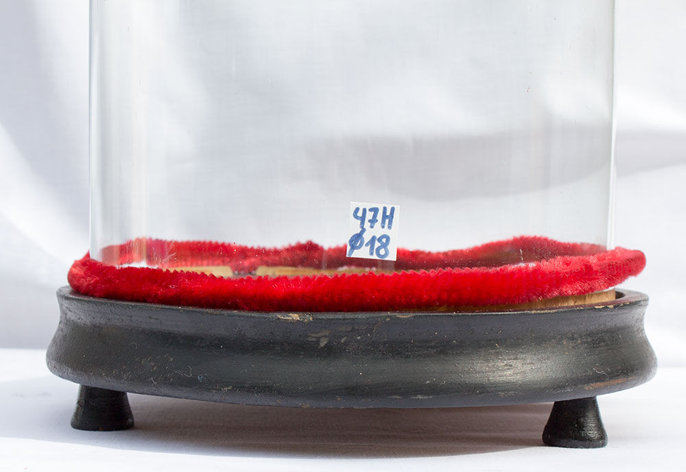 Ancient round glass globe 47 x 18 cm bridal globe