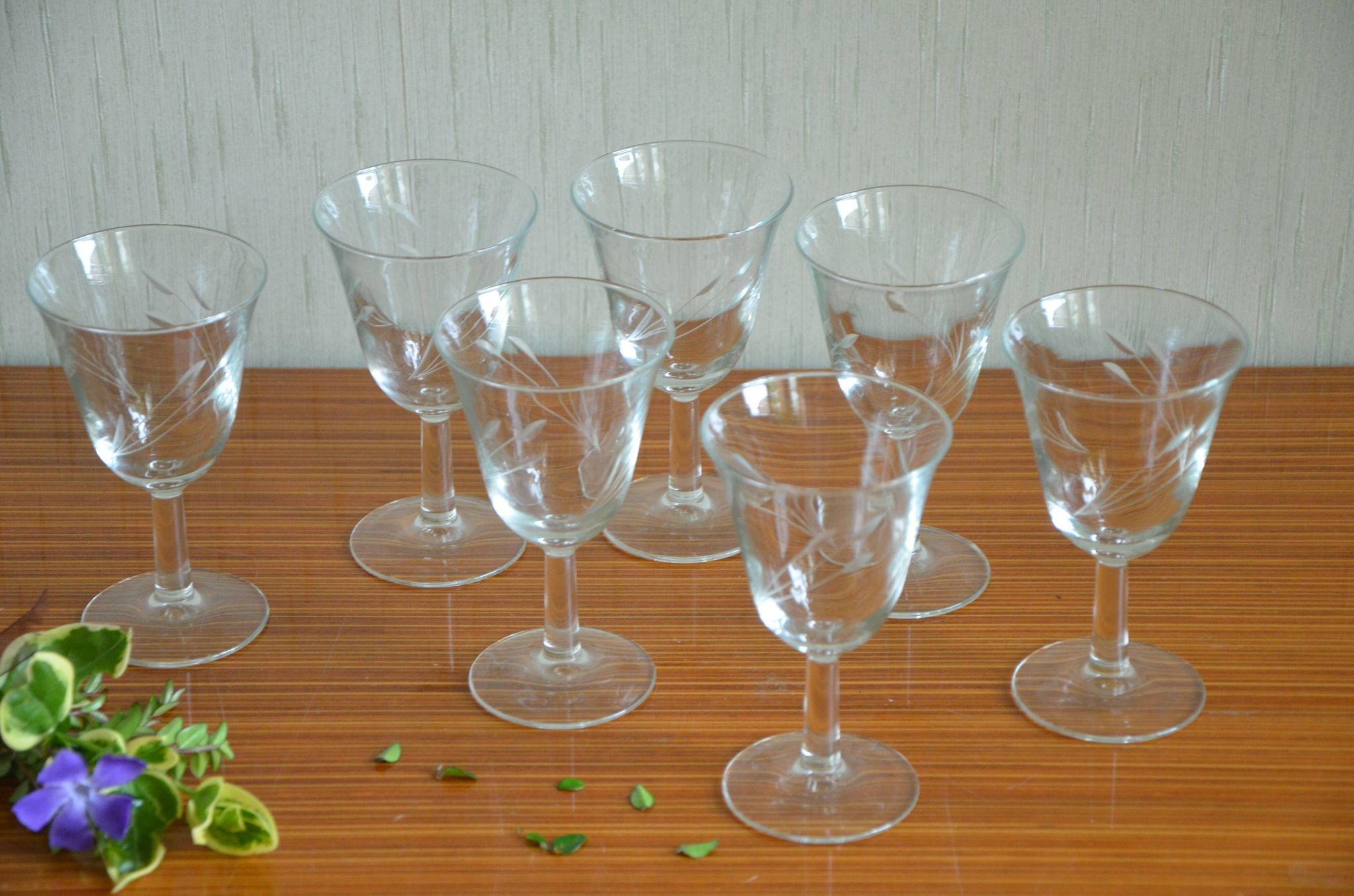 Lot de 7 verres à pied motif herbes folles