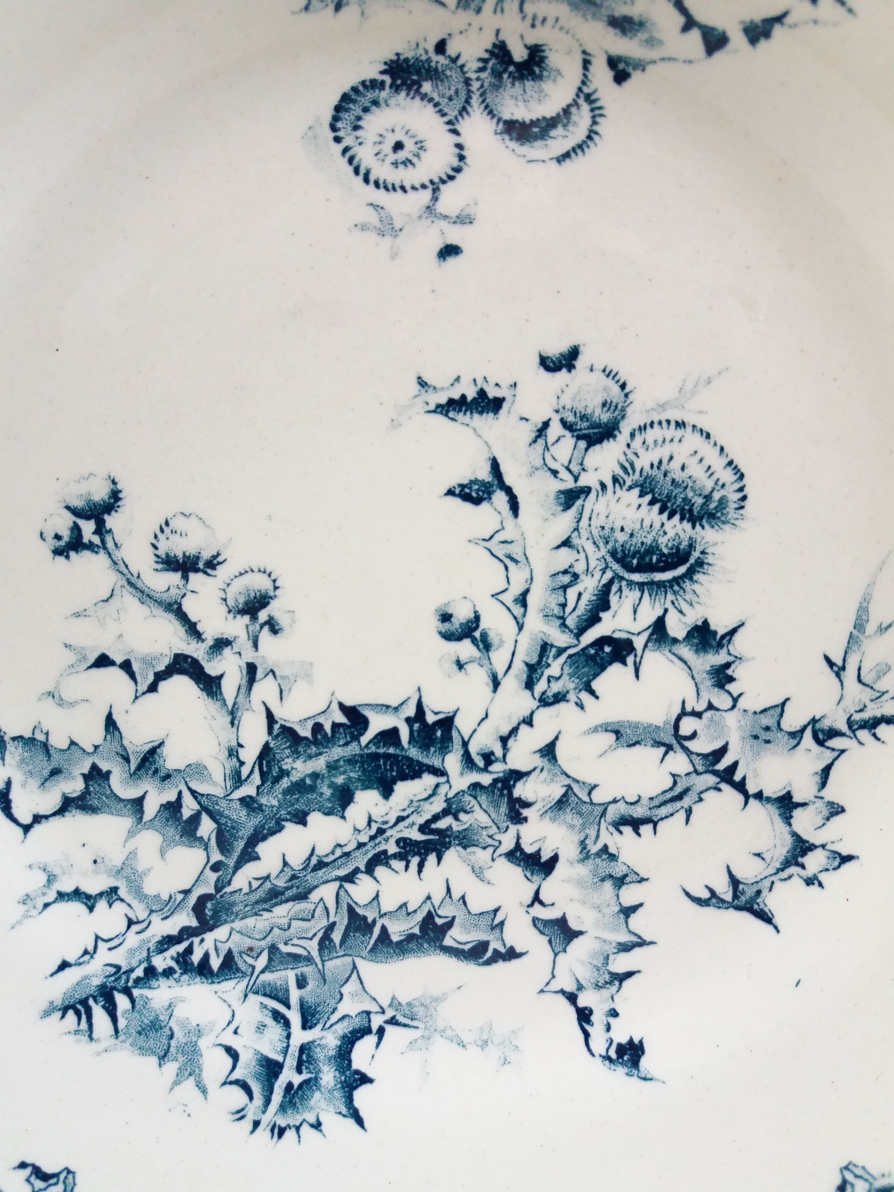 Pair of Chardons plates