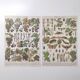 Lot deux Planches lithographies sur les maladies de la vigne 1900