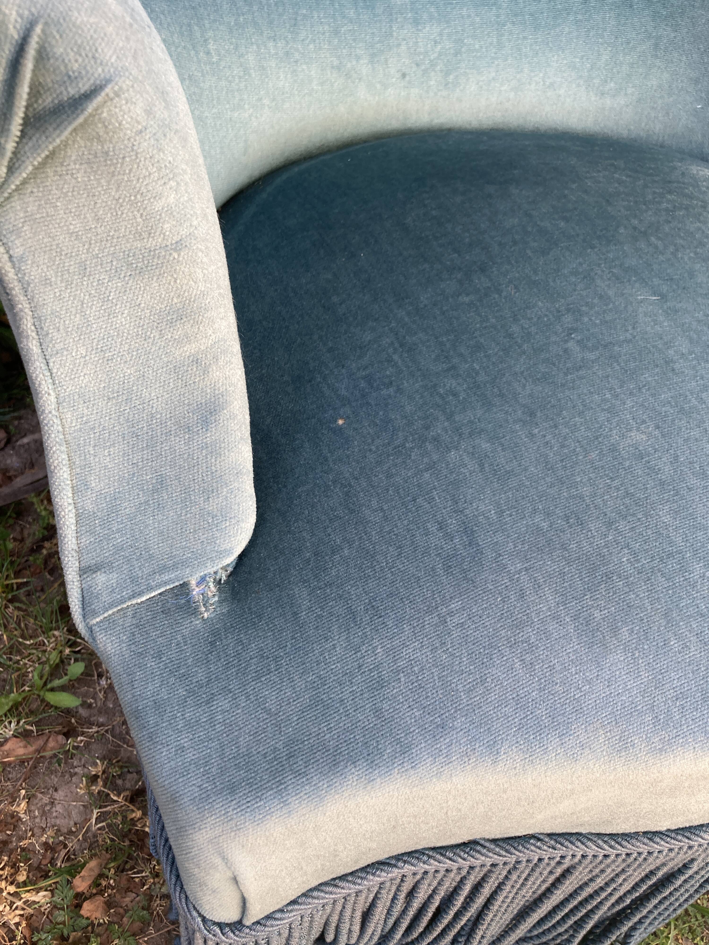 Toad Chair - electric blue - with its cushion