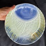 5 assiettes barbotine poissons coquillages Sarreguemines vintage