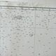 Graham Land - Peter I Oy - Antarctica Chart