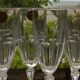 Set of 6 arques crystal champagne flutes. bergamo model.