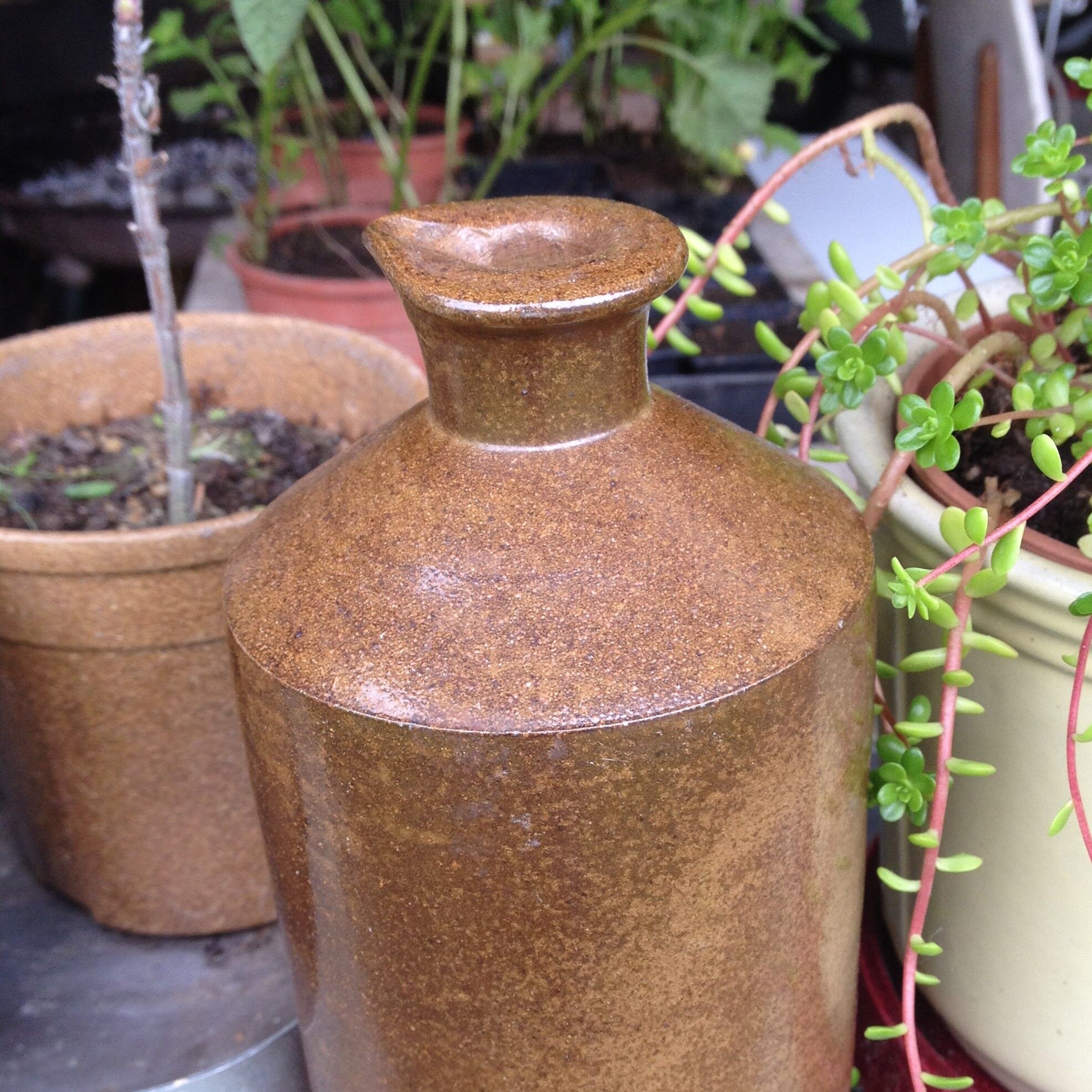 Bottle in sandstone - early twentieth