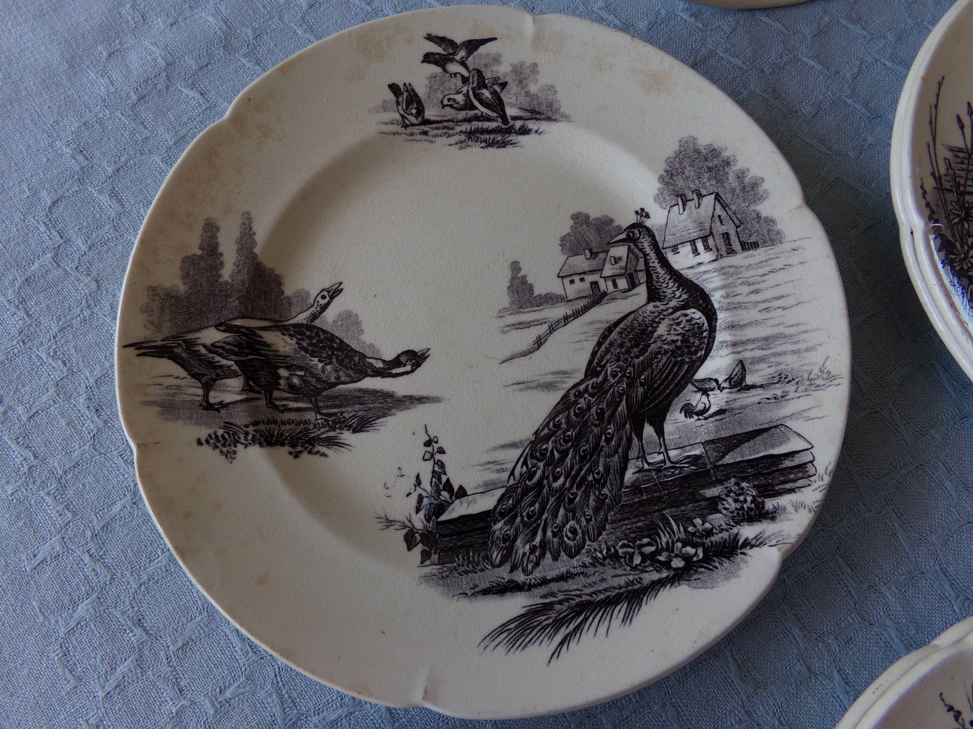 Old flat plates in earthenware iron and compotier
