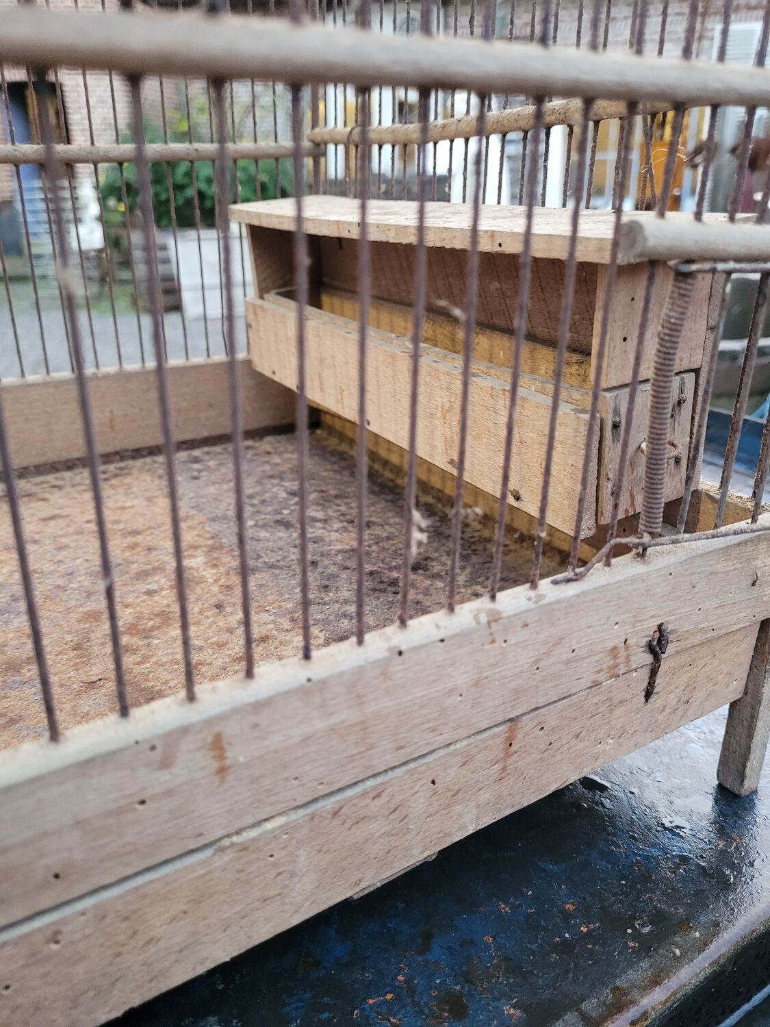 Old bird cage