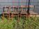 Set of four wooden bistro chairs, green seat, mid-20th century.