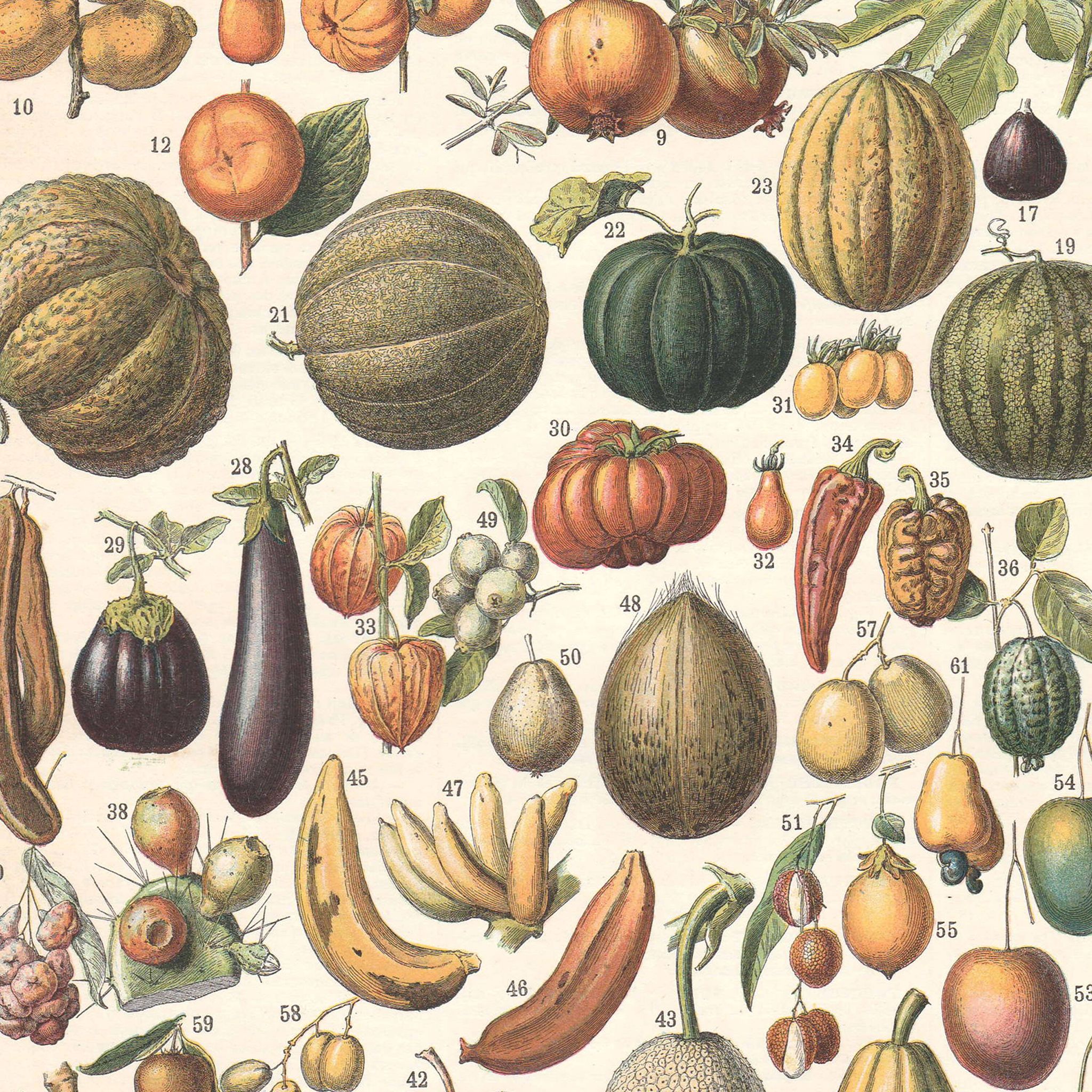 Old plate on fruits 1897