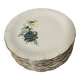 Set of 10 Antique Dessert Plates Digoin & Sarreguemines - Model