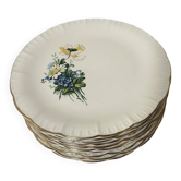 Set of 10 Antique Dessert Plates Digoin & Sarreguemines - Model