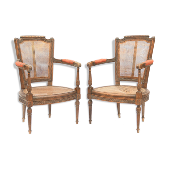 Pair of Louis XVI style canine armchairs