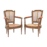 Pair of Louis XVI style canine armchairs